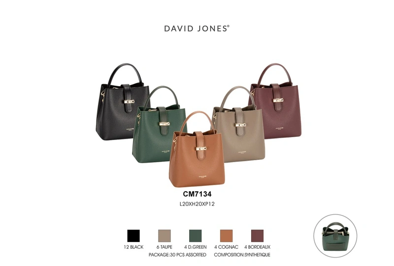 کیف دستی مدل David Jones CM7134 - تصویر 23